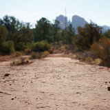 Path